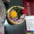 �ҵİ칫��