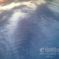 �ҵ����