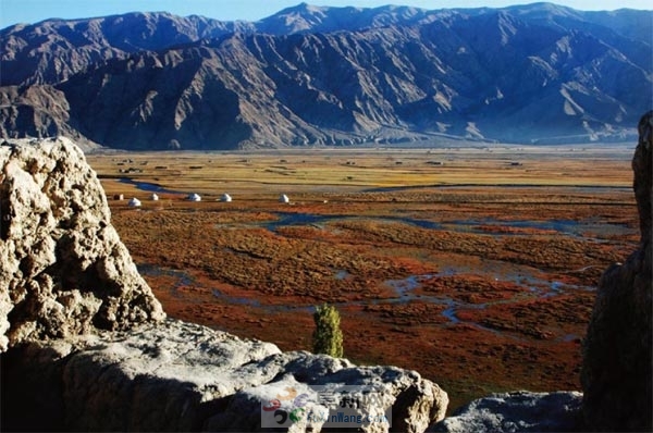 Զ������ͼ