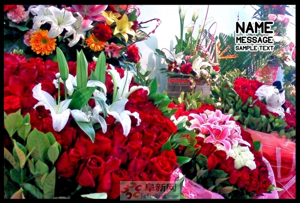 ���Ρ����˽ڡ���������õ�廨�